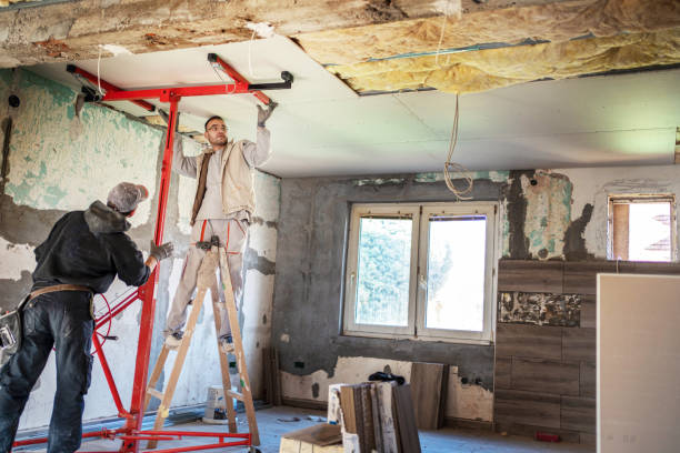 Best Residential Insulation in Argentine, MI