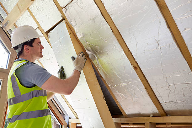 Best Commercial Insulation in Argentine, MI