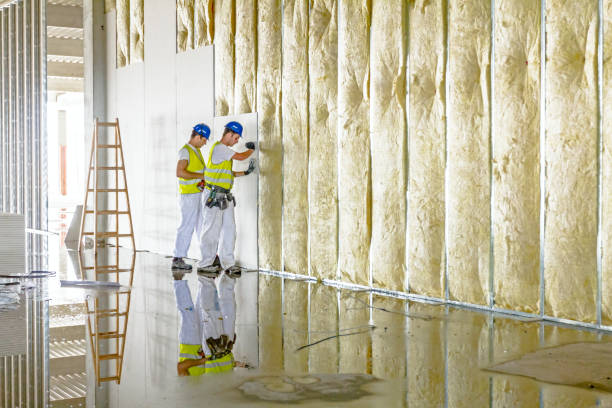 Best Commercial Insulation in Argentine, MI